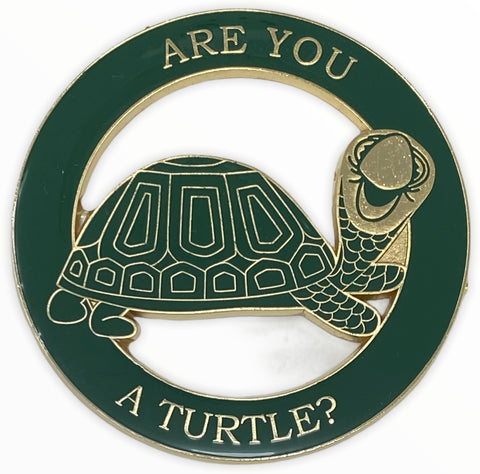 Are You A turtle Cut Out Car Emblem