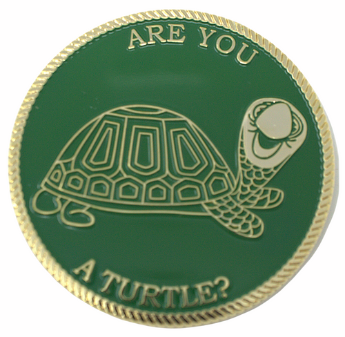 Are You A Turtle 2" Car Emblem
