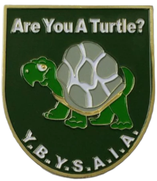 Are You A Turtle Car Emblem