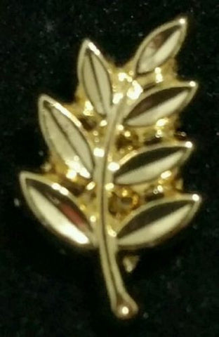 Freemason Masonic Lapel Pin